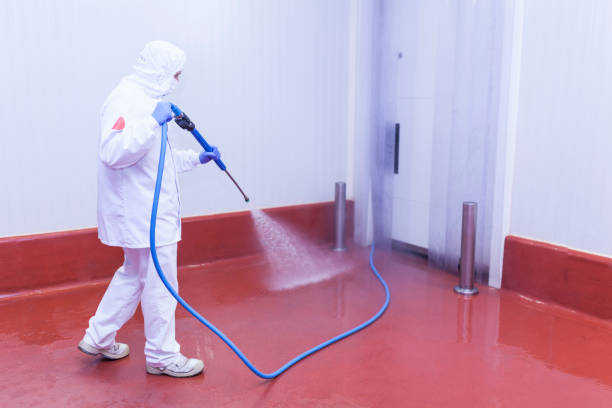 Best Driveway Pressure Washing  in Oakville, MO